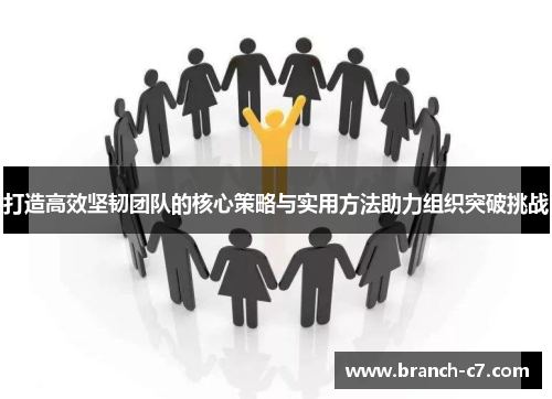 打造高效坚韧团队的核心策略与实用方法助力组织突破挑战