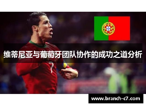 维蒂尼亚与葡萄牙团队协作的成功之道分析 维蒂尼亚与葡萄牙团队协作的成功之道分析