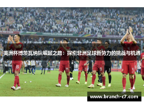 美洲杯博茨瓦纳队崛起之路：探索非洲足球新势力的挑战与机遇