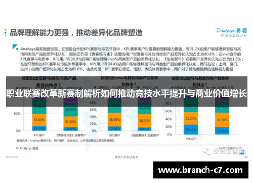 职业联赛改革新赛制解析如何推动竞技水平提升与商业价值增长