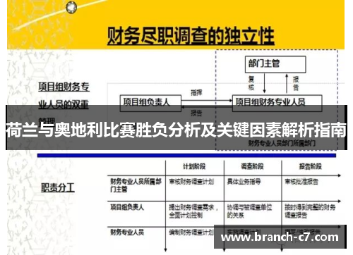 荷兰与奥地利比赛胜负分析及关键因素解析指南