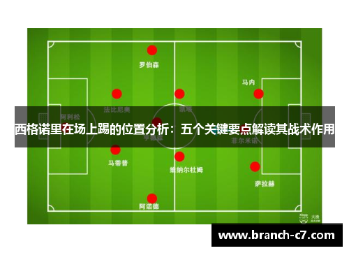 西格诺里在场上踢的位置分析：五个关键要点解读其战术作用