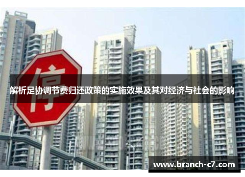 解析足协调节费归还政策的实施效果及其对经济与社会的影响
