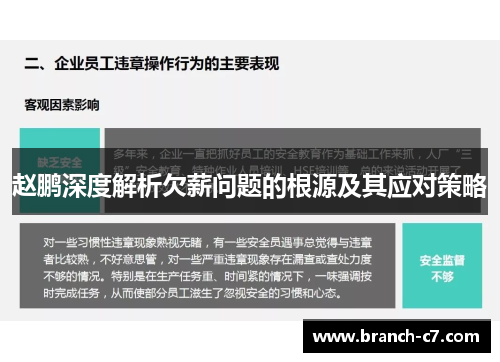 赵鹏深度解析欠薪问题的根源及其应对策略