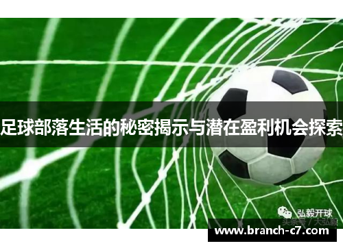 足球部落生活的秘密揭示与潜在盈利机会探索
