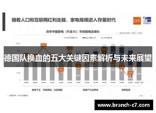 德国队换血的五大关键因素解析与未来展望