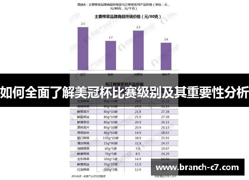 如何全面了解美冠杯比赛级别及其重要性分析