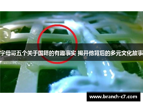 字母哥五个关于国籍的有趣事实 揭开他背后的多元文化故事