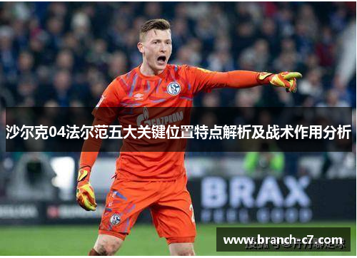 沙尔克04法尔范五大关键位置特点解析及战术作用分析