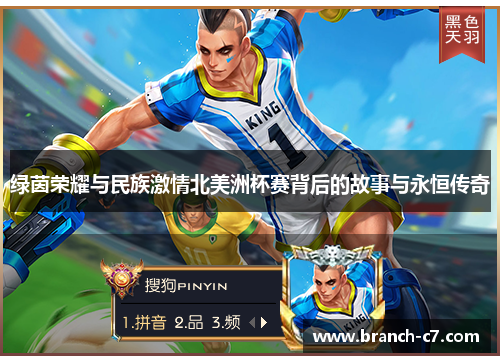 绿茵荣耀与民族激情北美洲杯赛背后的故事与永恒传奇