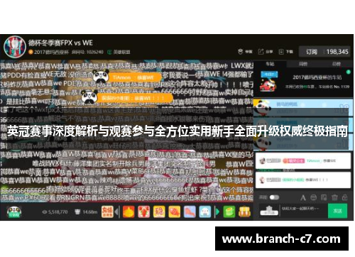 英冠赛事深度解析与观赛参与全方位实用新手全面升级权威终极指南