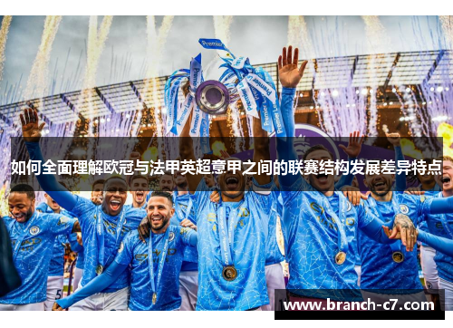 如何全面理解欧冠与法甲英超意甲之间的联赛结构发展差异特点 如何全面理解欧冠与法甲英超意甲之间的联赛结构发展差异特点