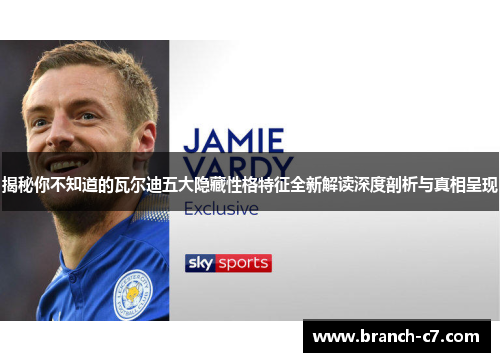 揭秘你不知道的瓦尔迪五大隐藏性格特征全新解读深度剖析与真相呈现