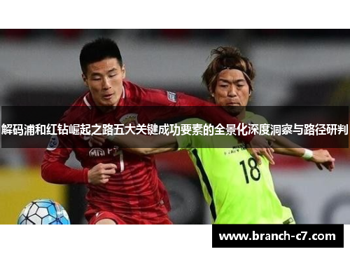 解码浦和红钻崛起之路五大关键成功要素的全景化深度洞察与路径研判