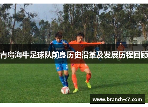 青岛海牛足球队前身历史沿革及发展历程回顾 青岛海牛足球队前身历史沿革及发展历程回顾