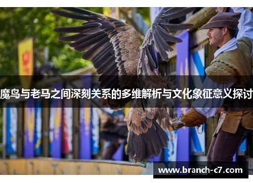魔鸟与老马之间深刻关系的多维解析与文化象征意义探讨