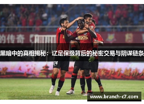 黑暗中的真相揭秘：辽足保级背后的秘密交易与阴谋链条