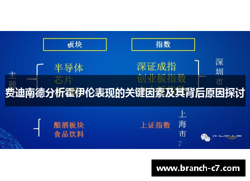 费迪南德分析霍伊伦表现的关键因素及其背后原因探讨