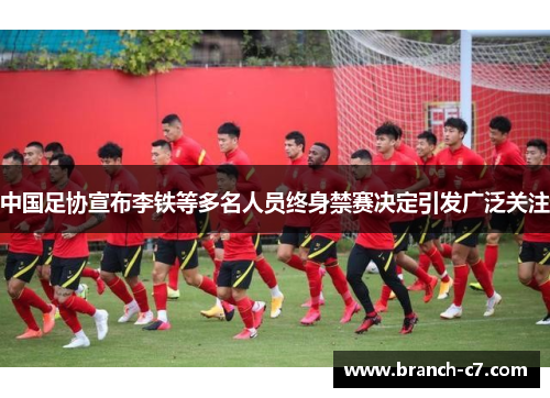 中国足协宣布李铁等多名人员终身禁赛决定引发广泛关注