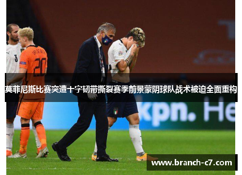 莫菲尼斯比赛突遭十字韧带撕裂赛季前景蒙阴球队战术被迫全面重构 莫菲尼斯比赛突遭十字韧带撕裂赛季前景蒙阴球队战术被迫全面重构