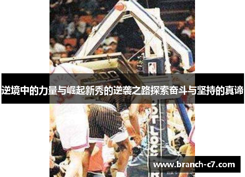 逆境中的力量与崛起新秀的逆袭之路探索奋斗与坚持的真谛