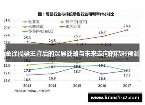 金徐擒梁王背后的深层战略与未来走向的精彩预测