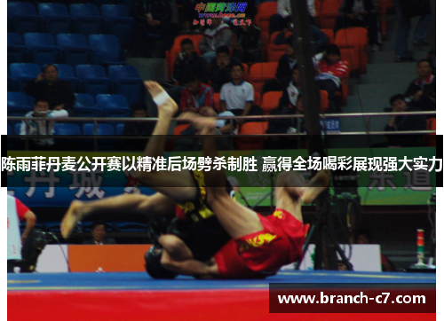 陈雨菲丹麦公开赛以精准后场劈杀制胜 赢得全场喝彩展现强大实力