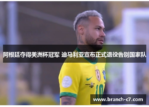 阿根廷夺得美洲杯冠军 迪马利亚宣布正式退役告别国家队 阿根廷夺得美洲杯冠军 迪马利亚宣布正式退役告别国家队